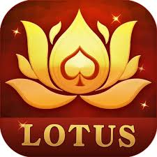 teen patti hero game download